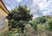 Chalet independiente con terreno en venta en la España, Montserrat, ref: TR413222 foto