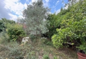 Chalet independiente con terreno en venta en la España, Montserrat, ref: TR413222 foto