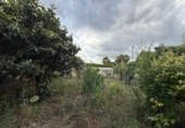 Chalet independiente con terreno en venta en la España, Montserrat, ref: TR413222 foto