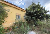 Chalet independiente con terreno en venta en la España, Montserrat, ref: TR413222 foto