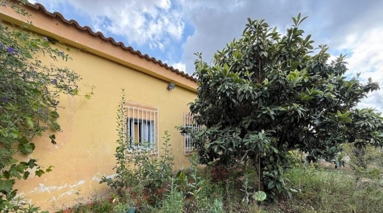 València - Montserrat - 596m2