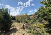 Chalet independiente con terreno en venta en la España, Montserrat, ref: TR413222 foto
