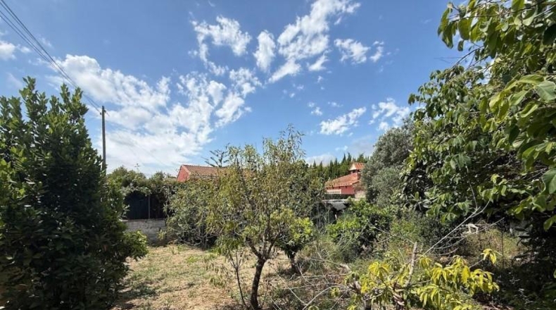 València - Montserrat - 596m2