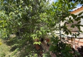 Chalet independiente con terreno en venta en la España, Montserrat, ref: TR413222 foto
