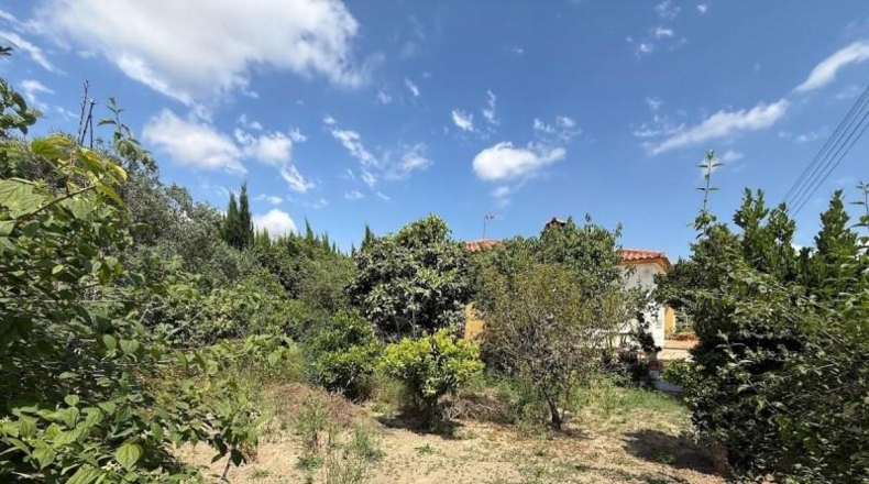 València - Montserrat - 596m2