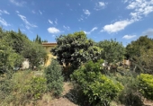 Chalet independiente con terreno en venta en la España, Montserrat, ref: TR413222 foto