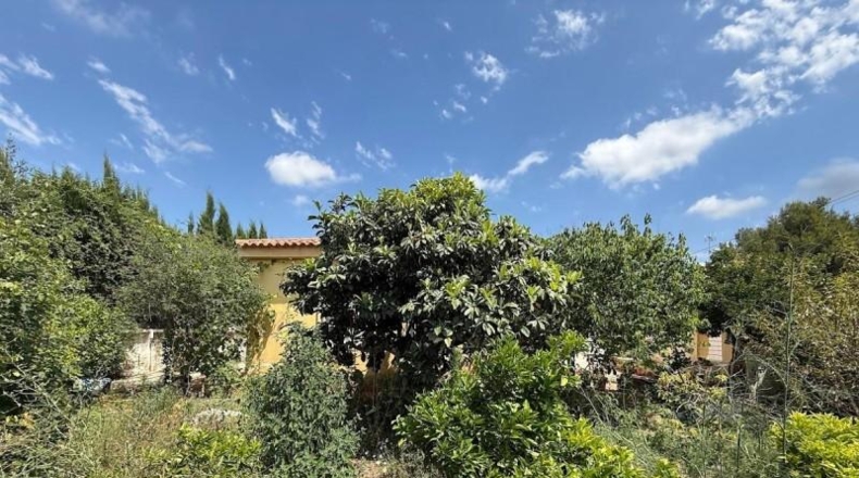 València - Montserrat - 596m2