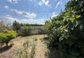 Chalet independiente con terreno en venta en la España, Montserrat, ref: TR413222 foto
