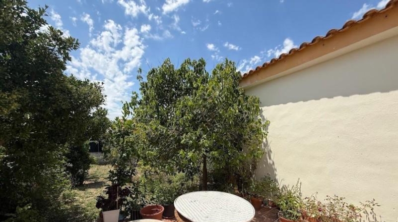 València - Montserrat - 596m2