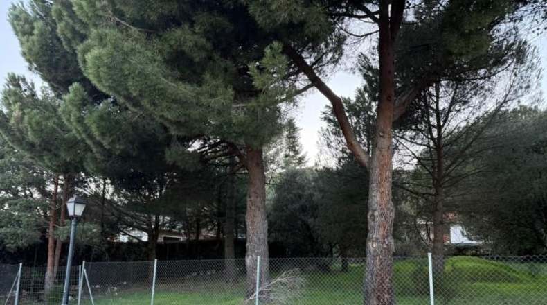 Comunidad de Madrid - Collado Mediano - 960m2