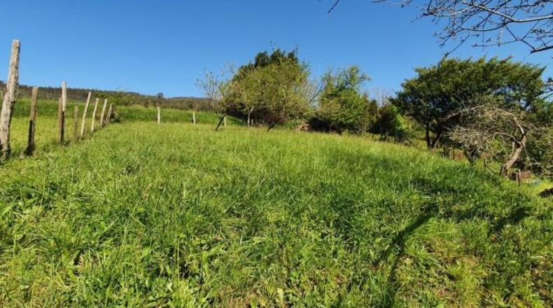 Cantabria - Castro-Urdiales - 800m2