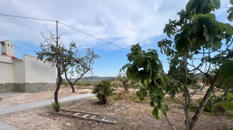 Alicante - Dolores - 1500m2