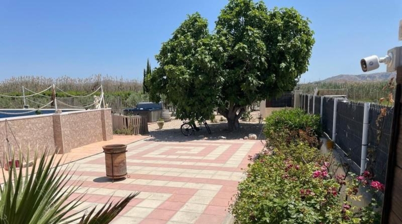 Alicante - Villena - 8000m2