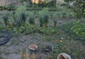 Detached villa with land for sale on España, Espera, ref: TR413255 photo