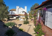 Chalet independiente con terreno en venta en la España, Fuente Álamo, ref: TR413295 foto