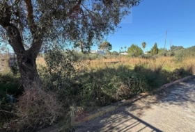 Vinaròs 1792&nbsp;m² 