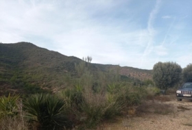 Riba-roja d'Ebre 349766&nbsp;m² 