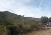 Terreny no urbanitzable en venda a la España, Riba-roja d'Ebre, ref.: TR413304 foto