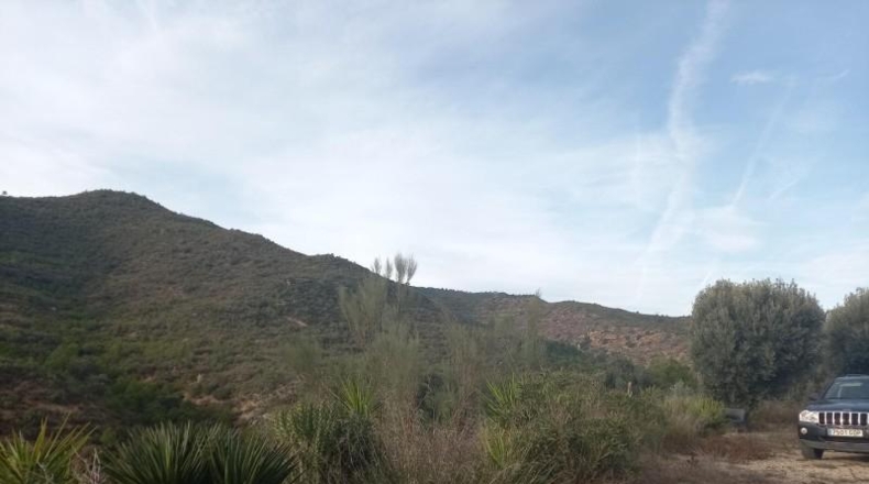 Tarragona - Riba-roja d'Ebre - 349766m2