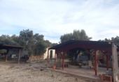 Terreny no urbanitzable en venda a la España, Riba-roja d'Ebre, ref.: TR413304 foto