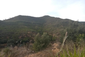 Riba-roja d'Ebre 349766&nbsp;m² 
