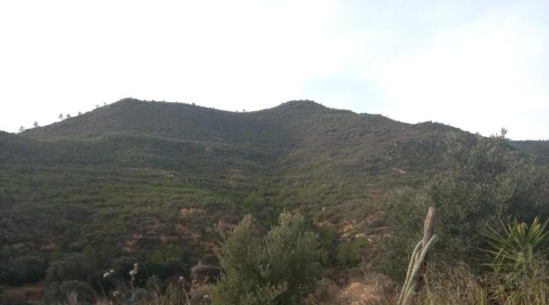 Tarragona - Riba-roja d'Ebre - 349766m2