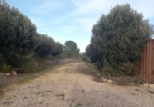 Terreny no urbanitzable en venda a la España, Riba-roja d'Ebre, ref.: TR413304 foto