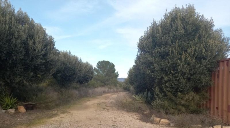 Tarragona - Riba-roja d'Ebre - 349766m2