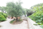 Finca rústica en venta en la España, Vacarisses, ref: TR413309 foto