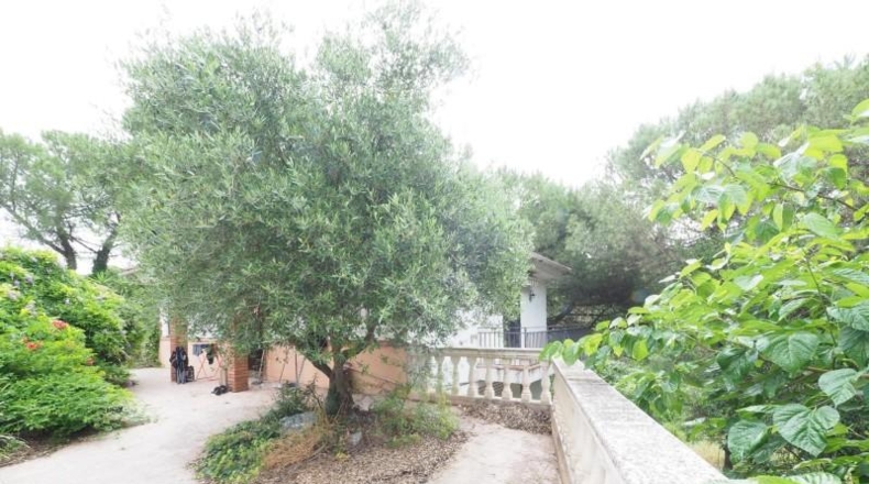 Barcelona - Vacarisses - 2172m2