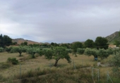 Xalet independent amb terreny en venda a la España, Alacant, ref.: TR411480 foto