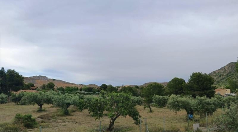 Alicante - Alicante - 8300m2