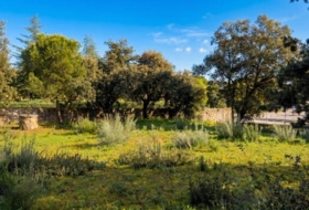 Galapagar 900&nbsp;m²