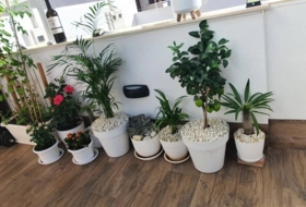 Foto 12