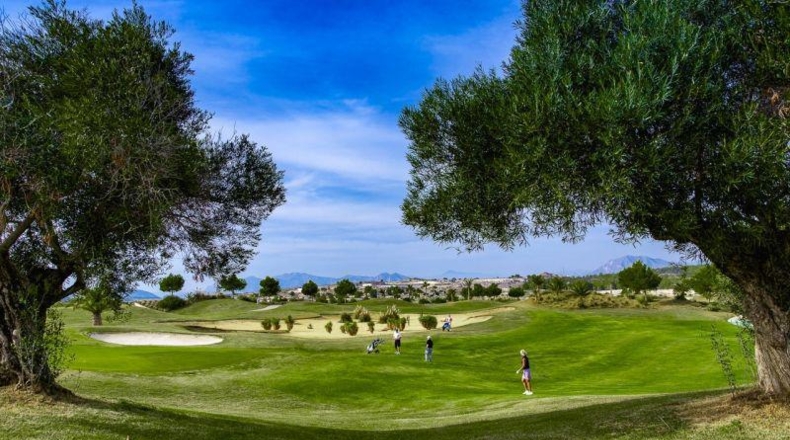 Alicante - Dehesa de Campoamor - 515m2
