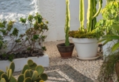 Casa de pueblo en venta en la España, Marbella, ref: TR409900 foto