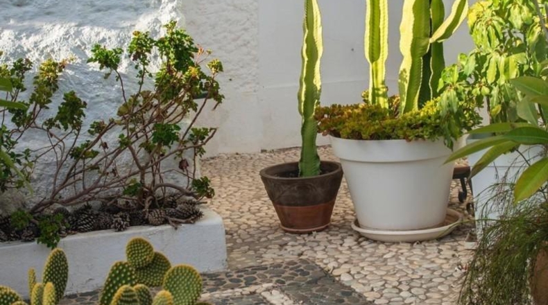 Малага - Marbella - 60m2