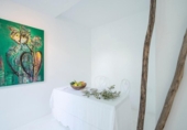 Casa de pueblo en venta en la España, Marbella, ref: TR409900 foto