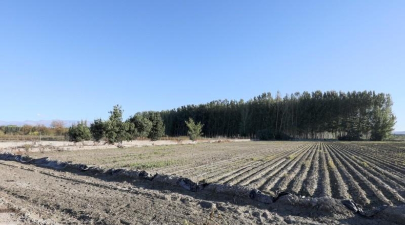 Granada - Fuente Vaqueros - 23219m2
