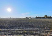 Finca rústica en venta en la España, Fuente Vaqueros, ref: TR404663 foto