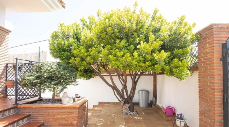 Granada - Nívar - 375m2