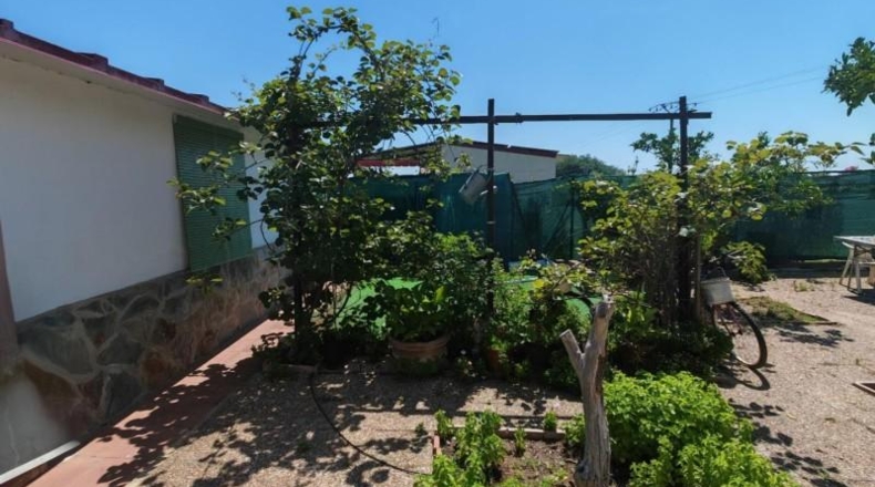 Badajoz - Guareña - 2827m2