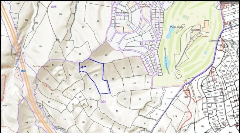 Granada - Los Llanos - 76500m2