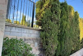 Foto 14