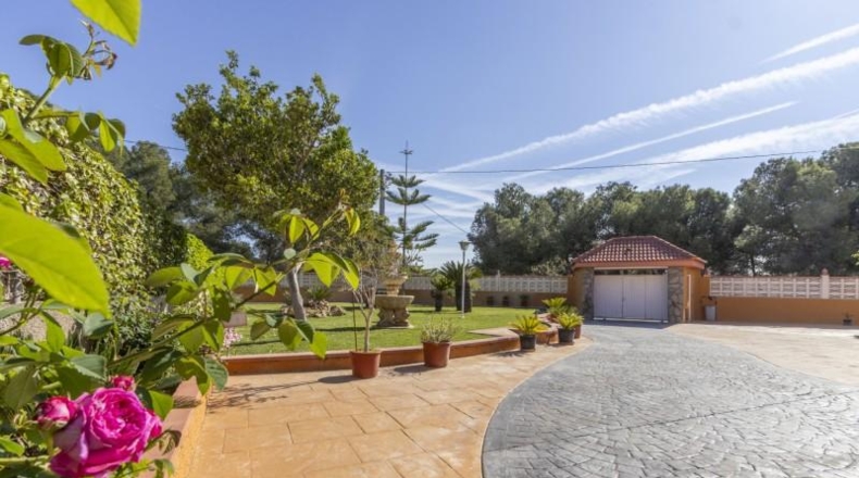 Valencia - Llíria - 164m2