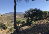 Non-developable land for sale on España, La Zubia, ref: TR413347 photo