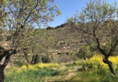 Non-developable land for sale on España, La Zubia, ref: TR413347 photo