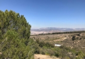 Non-developable land for sale on España, La Zubia, ref: TR413347 photo