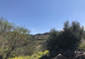 Non-developable land for sale on España, La Zubia, ref: TR413347 photo