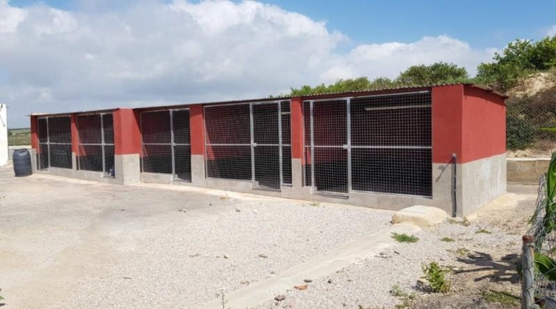 Alicante - Los Montesinos - 27000m2